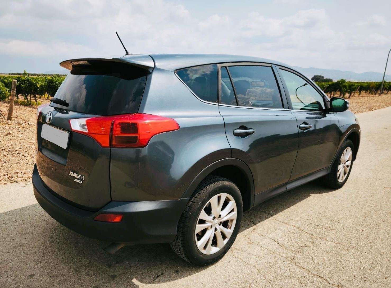 WhatsApp Image 2025-09-02 at 17.19.17 (2)