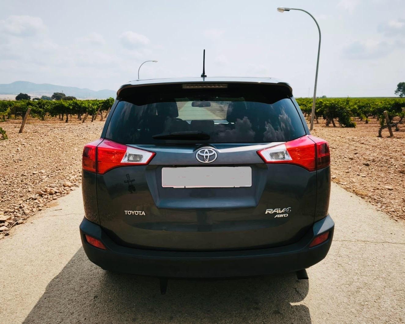 WhatsApp Image 2025-09-02 at 17.19.17 (3)