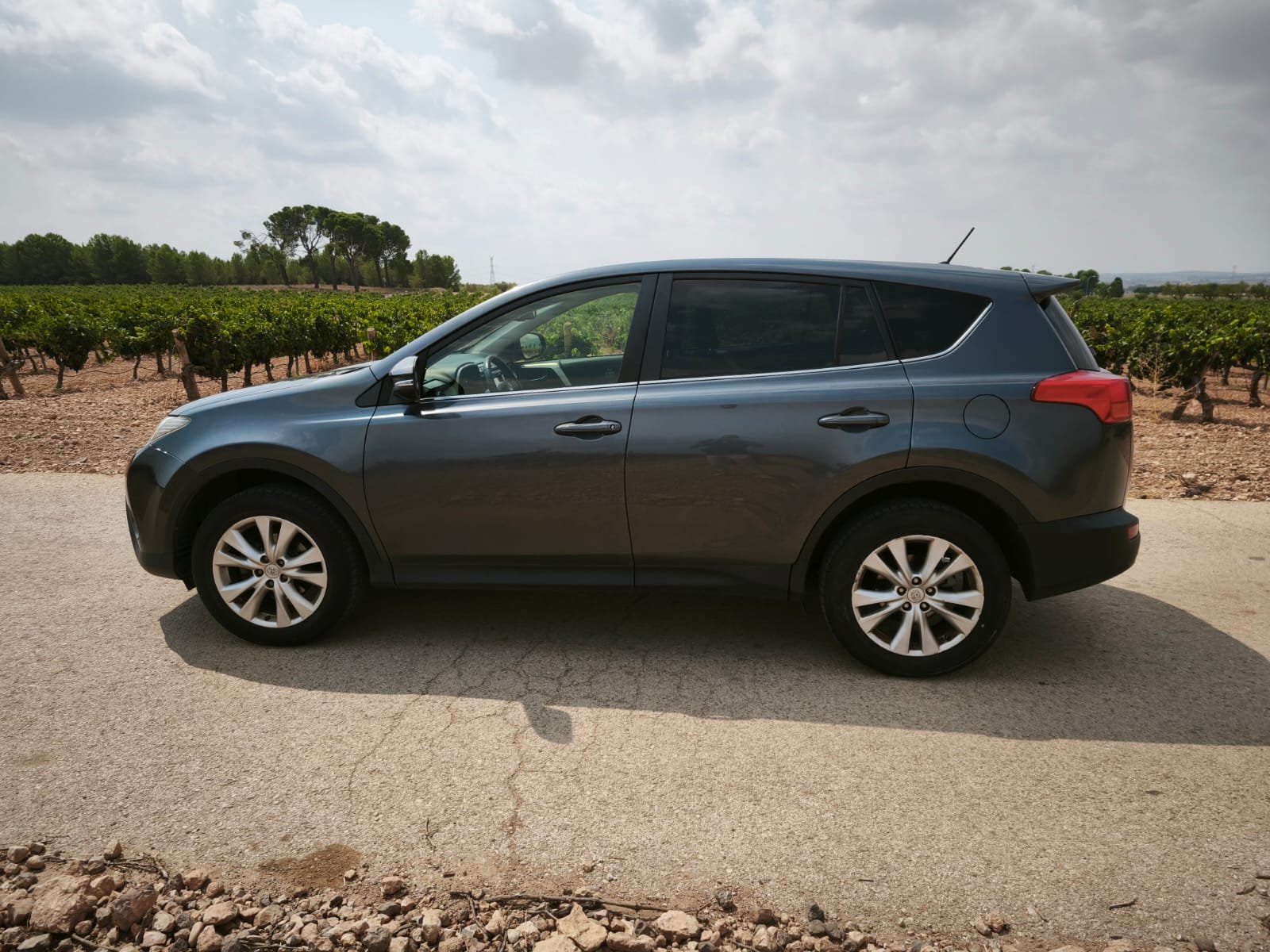 WhatsApp Image 2025-09-02 at 17.19.17 (5)